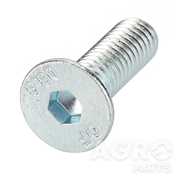 0902-60-34-00, Колпачковый винт, AGCO