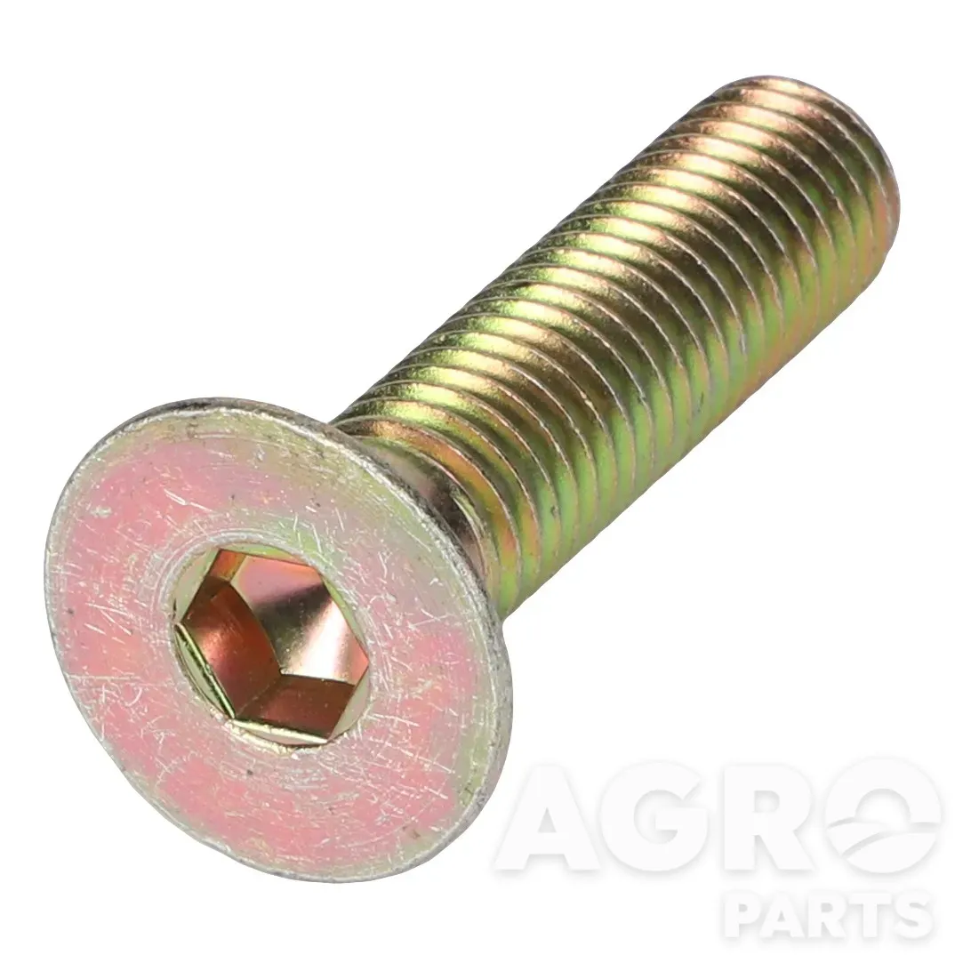 0902-60-65-00, Колпачковый винт, AGCO
