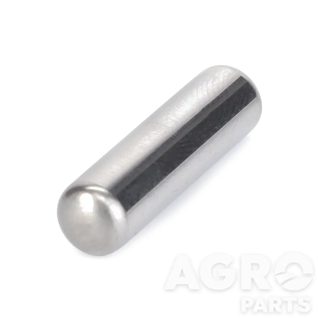 1610191M1, Иголка подшип., AGCO
