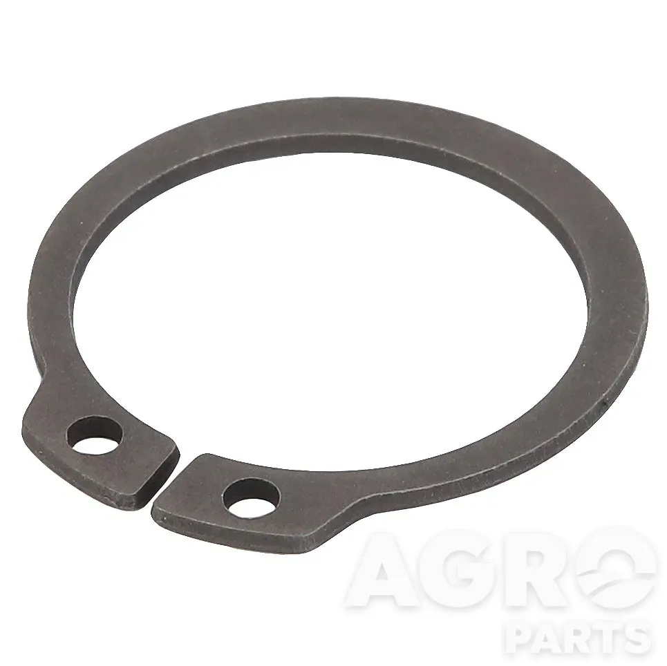 2010064, Стопорное кольцо, AGCO