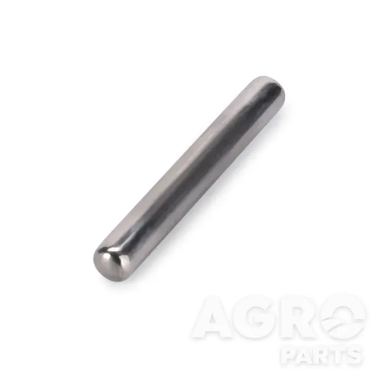 3010127X1, Иголка подшип., AGCO